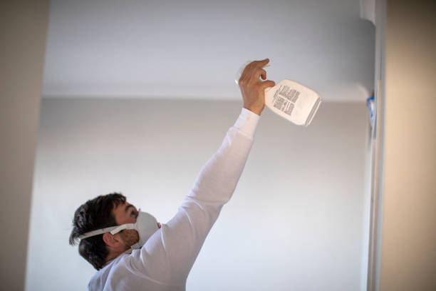 Best Industrial Mold Remediation in Riverton, IL