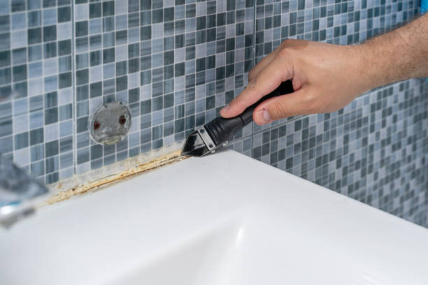 Trusted Riverton, IL Mold Remediation Experts